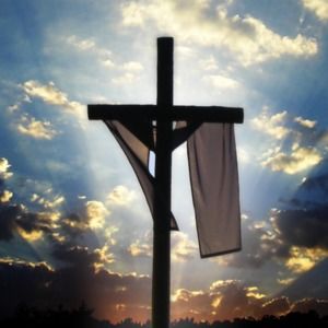 Meet your Posher, Clarissa